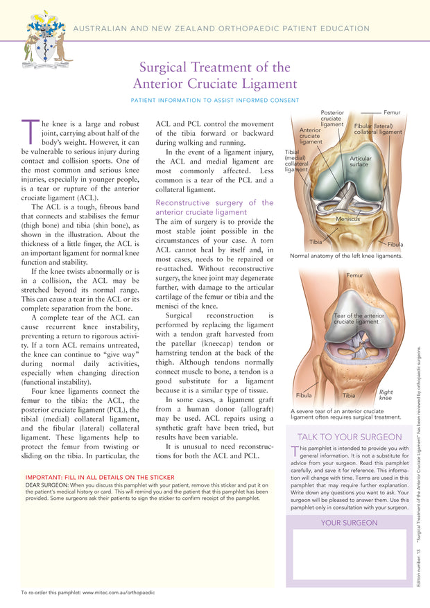 Surgical Treatment of the Anterior Cruciate Ligament