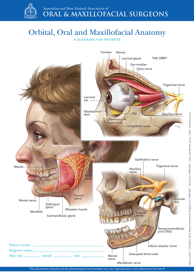 Normal Anatomy of Orbital, Oral and Maxillofacial