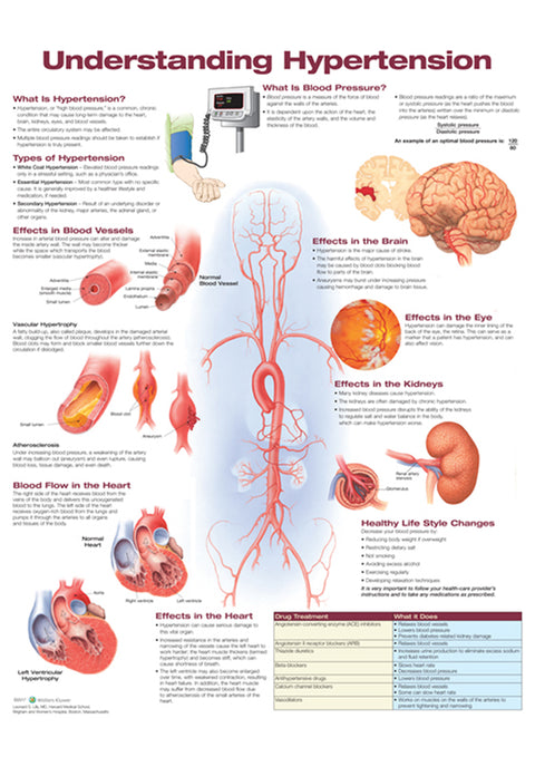 Understanding Hypertension