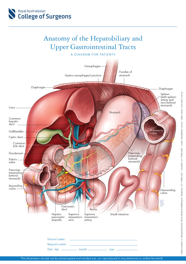 Poster: Normal Anatomy of the Hepatobiliary and Upper GIT (A3)